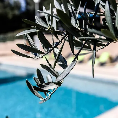 Les Arbousiers Village Hotel Provencal База отдыха