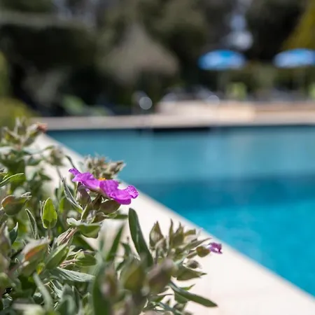 Les Arbousiers Village Hotel Provencal База отдыха 3*