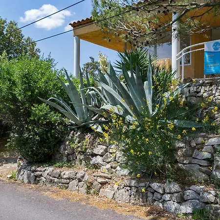База отдыха Les Arbousiers Village Hotel Provencal La Roquebrussanne